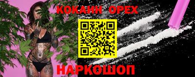 стафф Будённовск