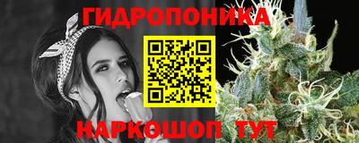 стафф Будённовск