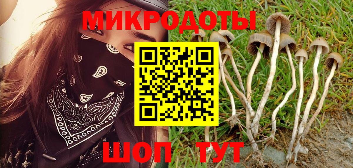 Галлюциногенные грибы прущие грибы  Вход с VPN  Назарово 